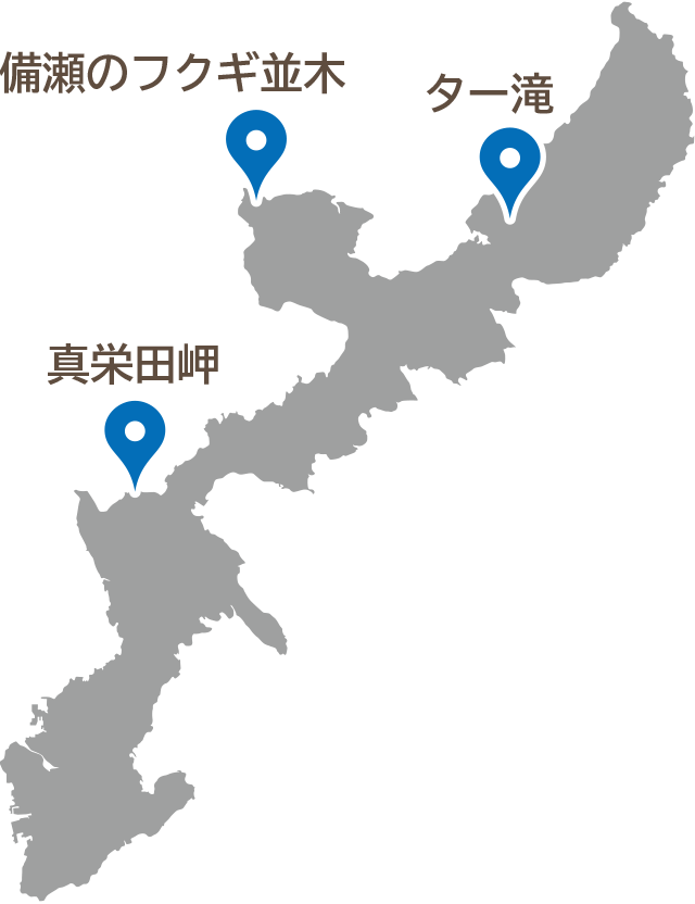 沖縄県本島北部エリアの3か所（ター滝・真栄田岬・備瀬のフクギ並木）